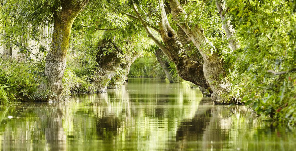 Rivière calme entourée de verdure luxuriante avec des arbres dont les branches se penchent au-dessus de l'eau, créant un reflet clair sur la surface, sous un ciel partiellement dégagé.