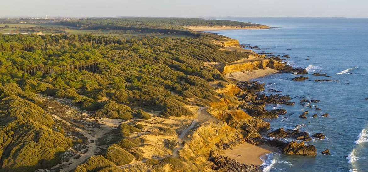 Vue aérienne de la pointe du Payré à Jard-sur-Mer, montrant des falaises bordées de végétation dense et de forêts de pins, ainsi que des plages de sable le long de la côte rocheuse.