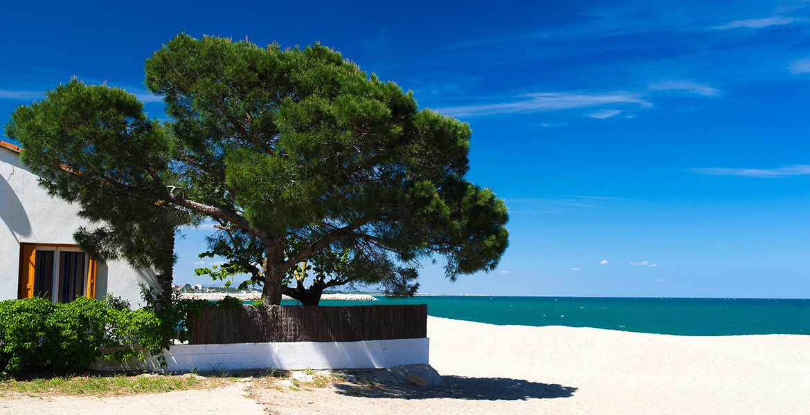 Une maison blanche avec un grand arbre à côté, située sur une plage de sable fin avec la mer bleue en arrière-plan.