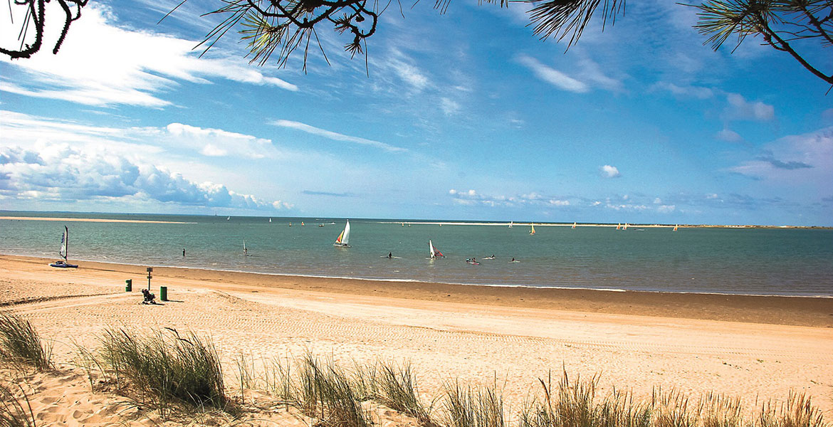 Une plage de sable avec des herbes en premier plan et plusieurs voiliers naviguant sur une mer calme sous un ciel bleu avec quelques nuages.