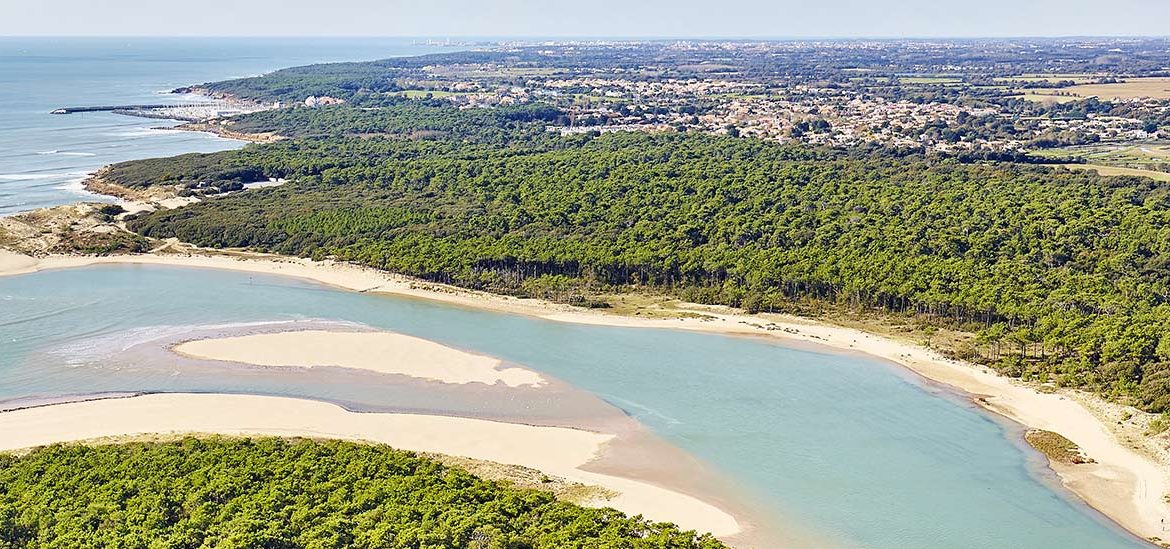 Vue aérienne d'un estuaire bordé de forêts denses et de plages de sable, avec une ville visible en arrière-plan.