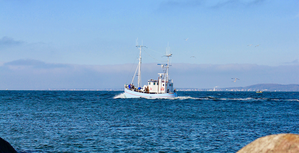 Un bateau de pêche blanc navigue en mer sous un ciel bleu, avec des mouettes volant autour.