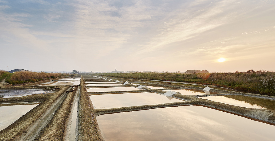 Marais salants avec des bassins rectangulaires remplis d'eau, des tas de sel blanc disposés régulièrement, sous un ciel de coucher de soleil avec des teintes orangées et roses.