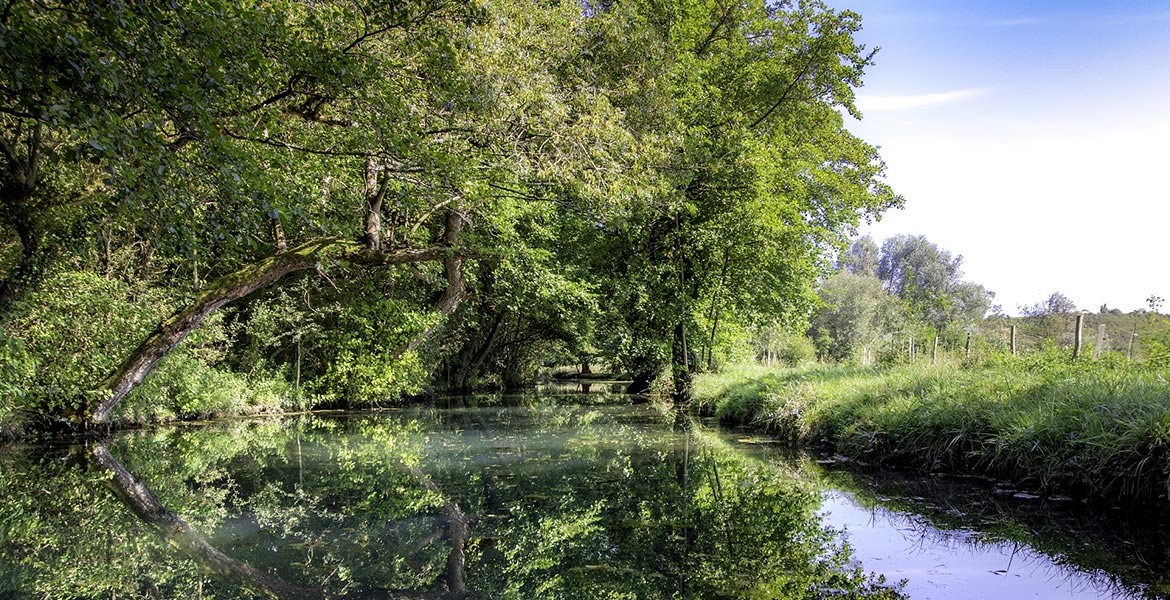 Rivière calme entourée de verdure luxuriante avec des arbres dont les branches se penchent au-dessus de l'eau, créant un reflet clair sur la surface, sous un ciel partiellement dégagé.