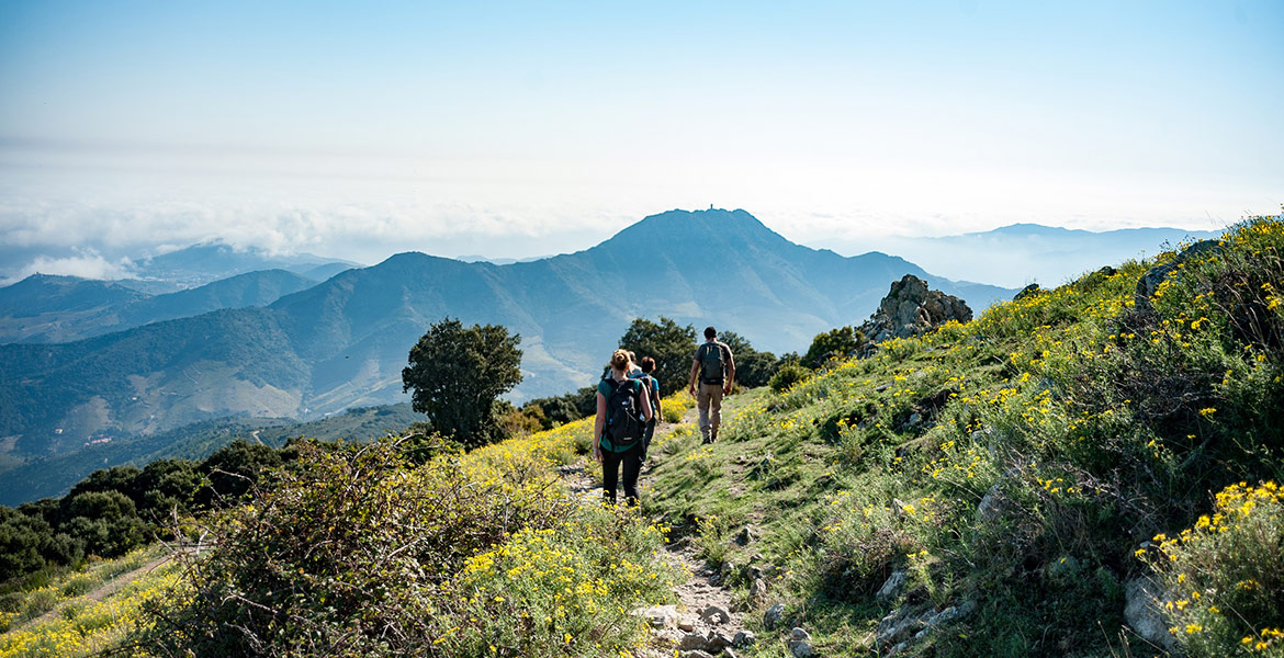 Des randonneurs marchent sur un sentier de montagne entouré de fleurs jaunes, avec une vue sur des montagnes et une mer de nuages à l'horizon.