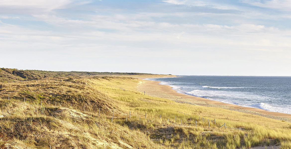 Une plage de sable doré bordée de dunes herbeuses, s'étendant le long de l'océan sous un ciel partiellement nuageux.