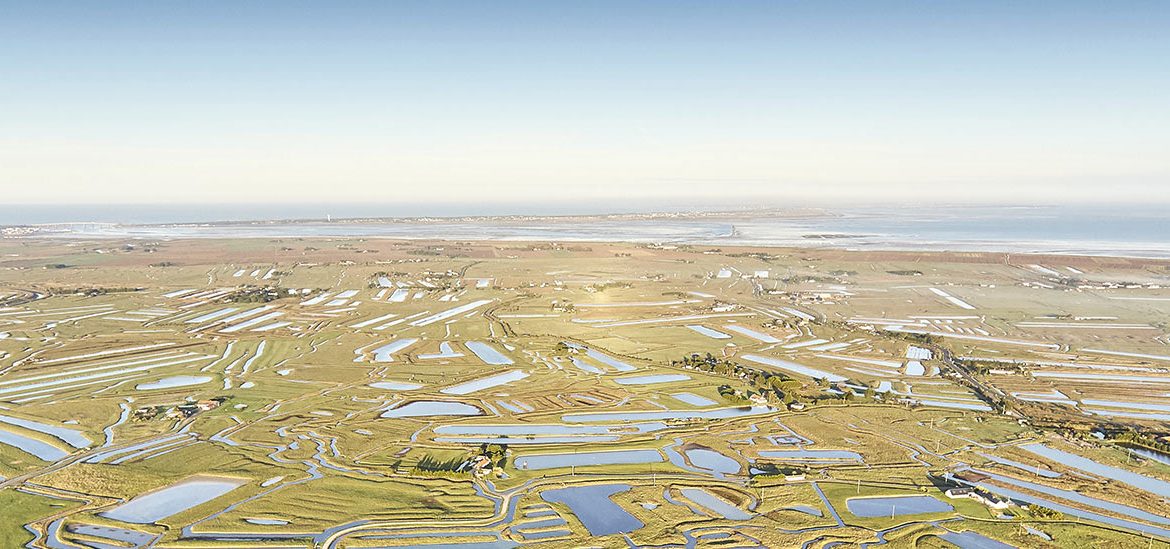 Vue aérienne de marais salants avec de nombreuses parcelles d'eau et de terre entrelacées, s'étendant jusqu'à l'horizon sous un ciel bleu dégagé.