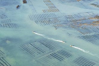 Vue aérienne de parcs à huîtres dans une eau peu profonde, avec plusieurs bateaux naviguant entre les rangées.