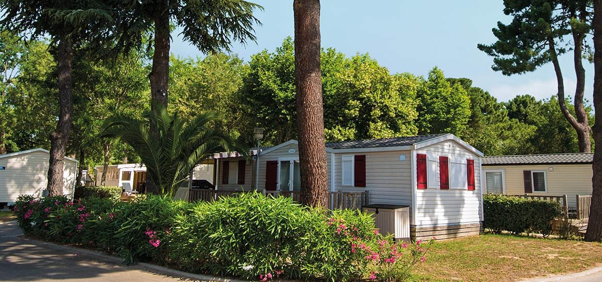 Mobil-homes dans un camping, entourés de grands arbres, de palmiers et de buissons fleuris, sous un ciel bleu dégagé.