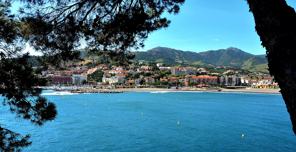 Vue de la ville côtière de Banyuls-sur-mer encadrée par des arbres, avec des bâtiments colorés au bord de la mer, des montagnes en arrière-plan et un ciel bleu dégagé.