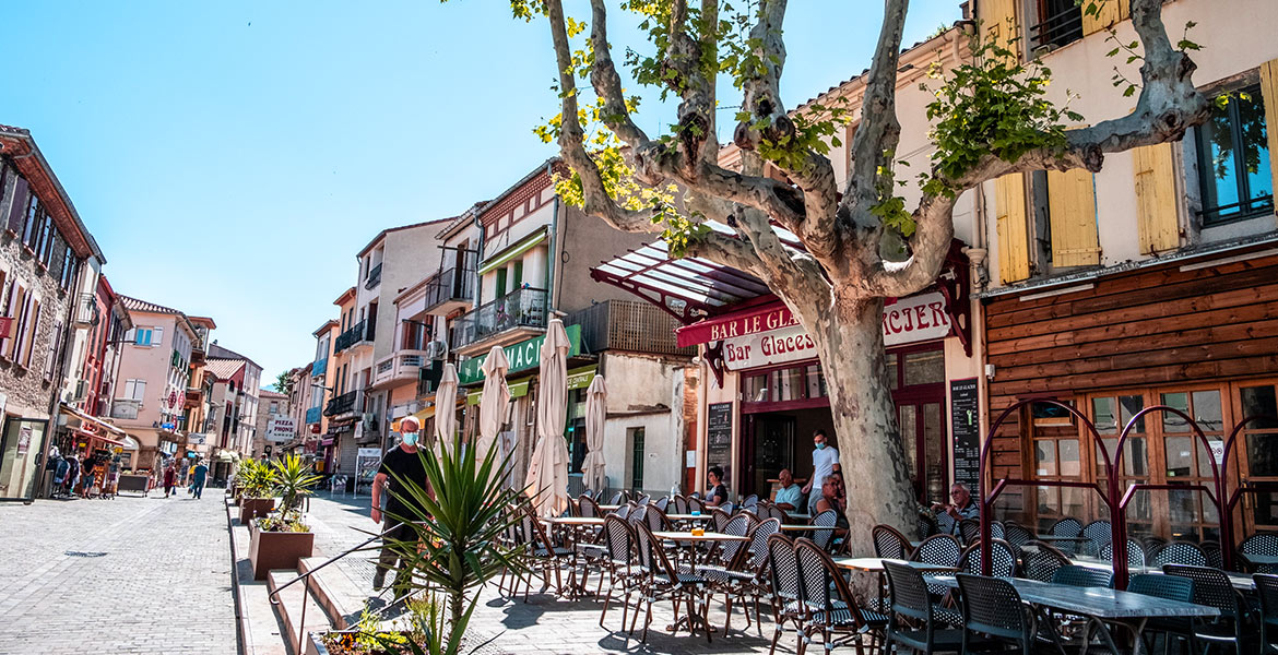 Rue piétonne de Collioure animée avec des cafés et des restaurants, des tables en terrasse et un grand arbre au centre, des personnes se promenant et profitant de la journée ensoleillée.