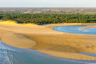 Vue aérienne d'une plage en Vendée avec des vagues se brisant sur le rivage et des dunes de sable, entourée de végétation dense.