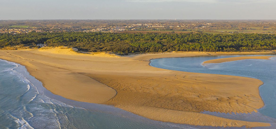 Vue aérienne d'une plage en Vendée avec des vagues se brisant sur le rivage et des dunes de sable, entourée de végétation dense.