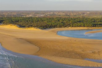 Vue aérienne d'une plage en Vendée avec des vagues se brisant sur le rivage et des dunes de sable, entourée de végétation dense.