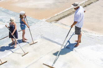 Un groupe d'enfants, guidés par un adulte, apprend à récolter le sel dans des marais salants. Ils utilisent de longs râteaux pour travailler sur les bassins salants sous un ciel ensoleillé.