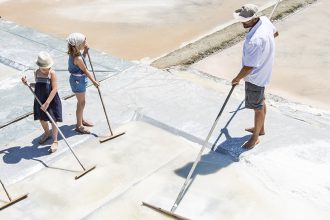 Un groupe d'enfants, guidés par un adulte, apprend à récolter le sel dans des marais salants. Ils utilisent de longs râteaux pour travailler sur les bassins salants sous un ciel ensoleillé.