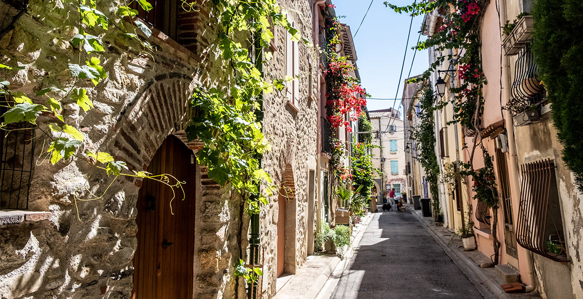 Une ruelle étroite bordée de maisons en pierre avec des façades couvertes de plantes grimpantes et de fleurs colorées. Le soleil éclaire la scène, créant une atmosphère charmante et pittoresque.