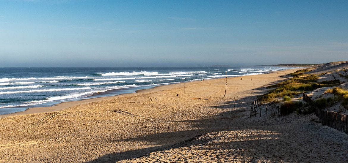 Longue plage de sable avec des vagues déferlantes sous un ciel bleu, entourée de dunes et de végétation côtière.