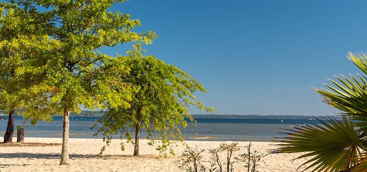 Plage de sable du lac de Biscarrosse avec des arbres verts et des palmiers, vue sur l'eau et un ciel bleu clair en arrière-plan