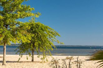 Plage de sable du lac de Biscarrosse avec des arbres verts et des palmiers, vue sur l'eau et un ciel bleu clair en arrière-plan