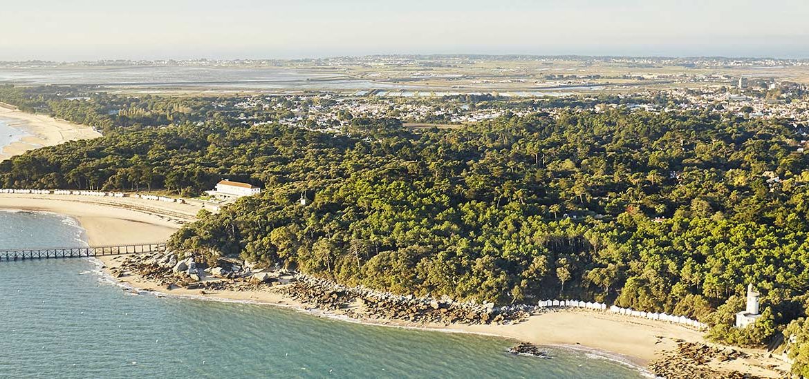 Vue aérienne d'une côte avec des plages de sable, une jetée, et une dense forêt entourant des bâtiments, avec une ville en arrière-plan.