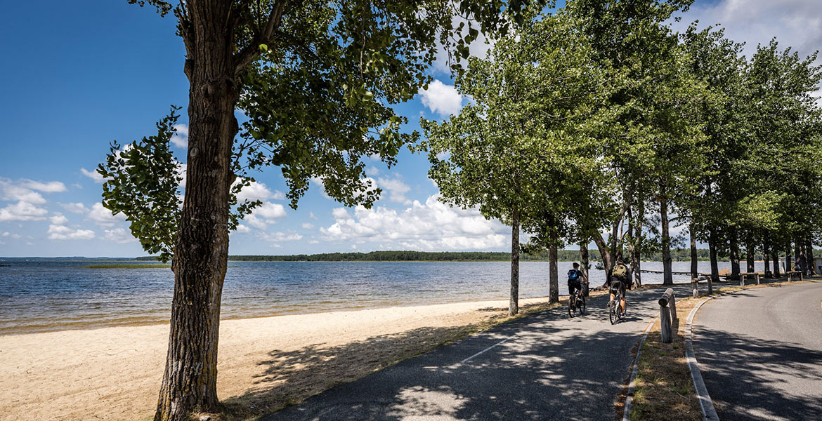 Couple faisant du vélo sur la Vélodyssée, au bord du lac de Navarrosse, à Biscarrosse dans les Landes