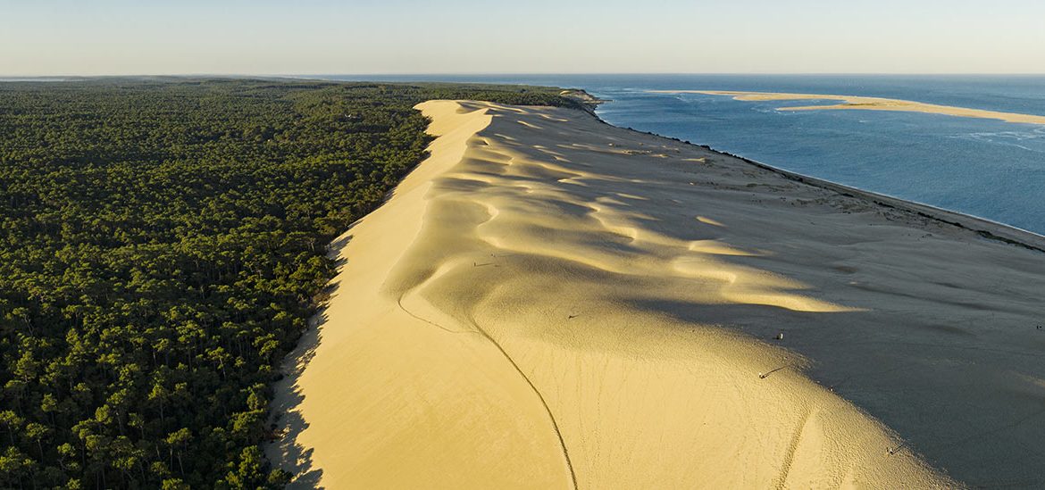 Vue aérienne de la Dune du Pilat séparant une forêt dense et une plage, avec l'océan à l'horizon sous un ciel clair.