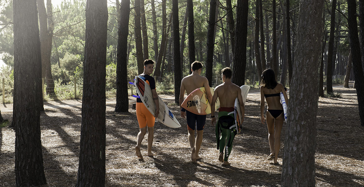 Quatre surfeurs portant des planches de surf marchent à travers une forêt de pins. La lumière du soleil filtre à travers les arbres, créant des ombres allongées sur le sol.