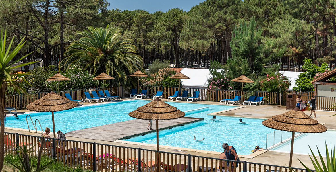 Piscine extérieure entourée de chaises longues et de parasols en paille, avec des arbres et des palmiers en arrière-plan. Des personnes profitent de la baignade par une journée ensoleillée.