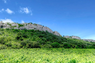 Paysage de du Masif de la Clape surplombant une dense végétation verte sous un ciel bleu clair.