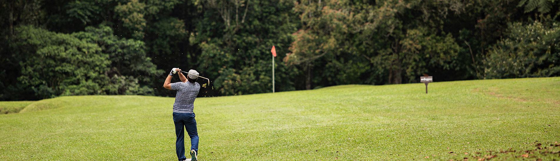 Un golfeur exécute un swing sur un terrain de golf verdoyant avec une forêt en arrière-plan. Un drapeau rouge marque le trou au loin.