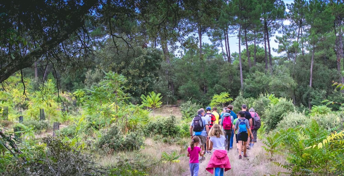 Randonnée en forêt en Charente-Maritime © Thierry Avan