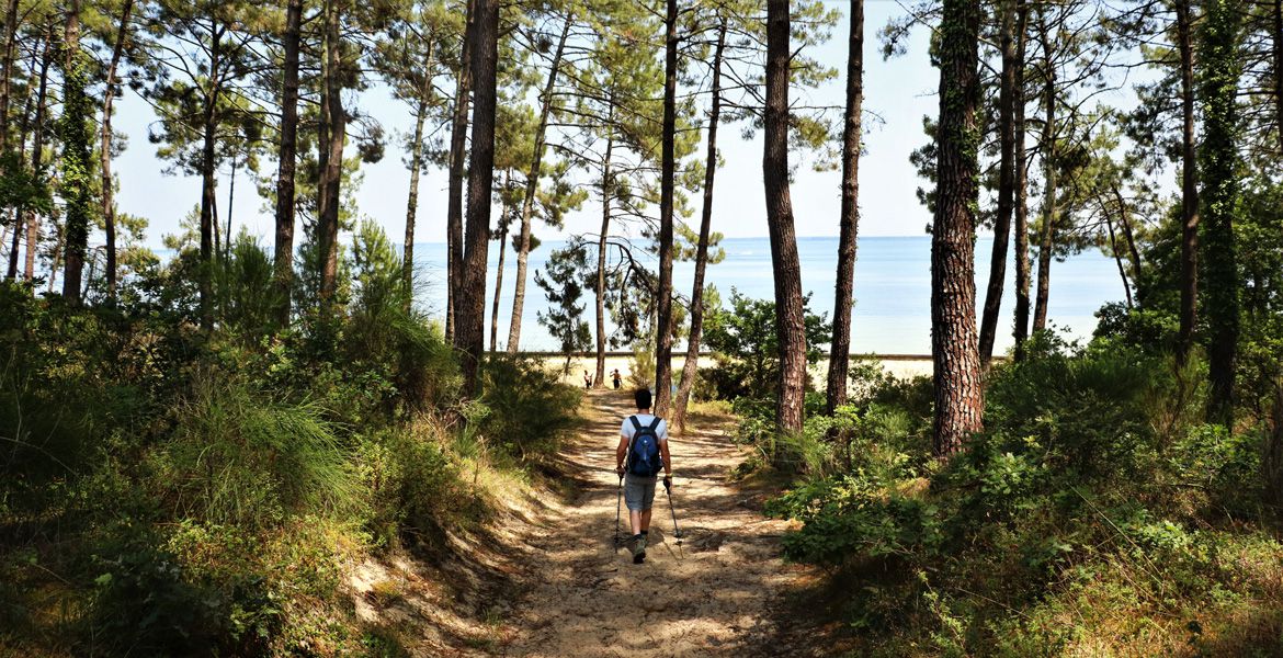 Randonnée dans la forêt des Landes © CDT Landes