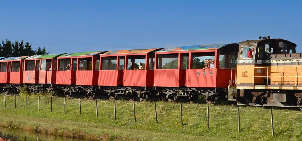 Le Train des Mouettes, train touristique à vapeur avec des wagons rouges traversant une zone rurale ensoleillée avec un plan d'eau au premier plan.