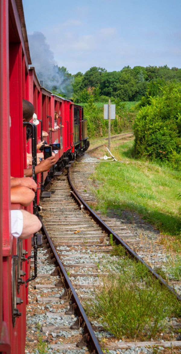 Passagers du Train des Mouettes prenant des photos depuis le train avançant sur une voie ferrée en pleine nature.